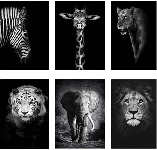 Black and white animal posters